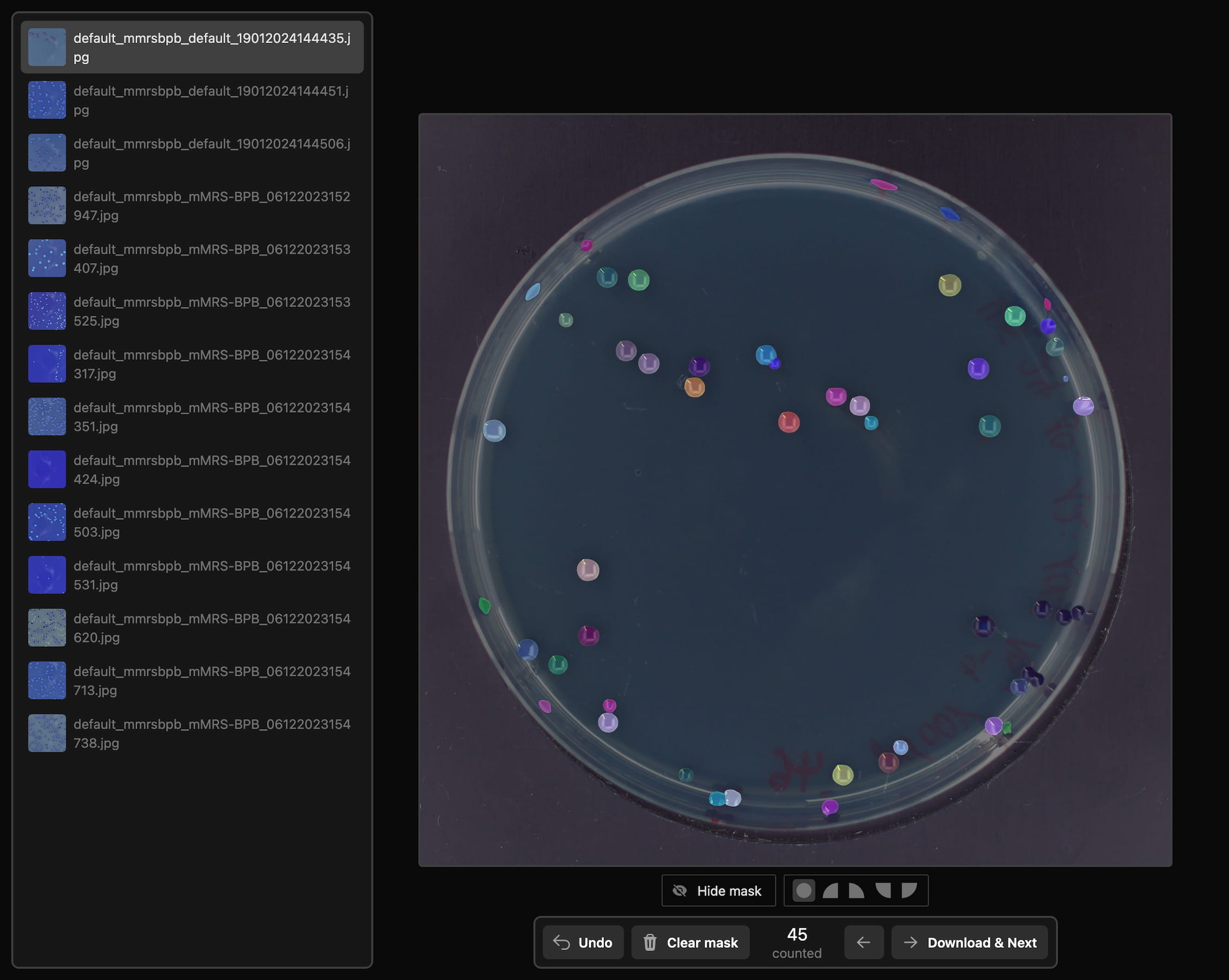 Präzise Instance-Segmentation-Masken, erstellt mithilfe der SAM-basierten Annotation